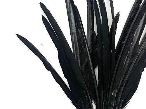 10 חתיכות-שחור אווז מצביעי ארוך פריימריז כנף נוצות עבור ליל כל הקדושים, חתונה ומלאכות אחרות | אור ירח נוצה